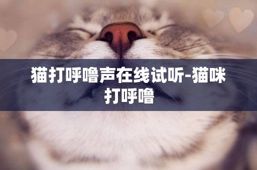 貓打呼嚕聲在線試聽-貓咪打呼嚕