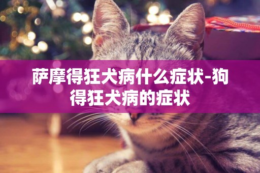 薩摩得狂犬病什么癥狀-狗得狂犬病的癥狀