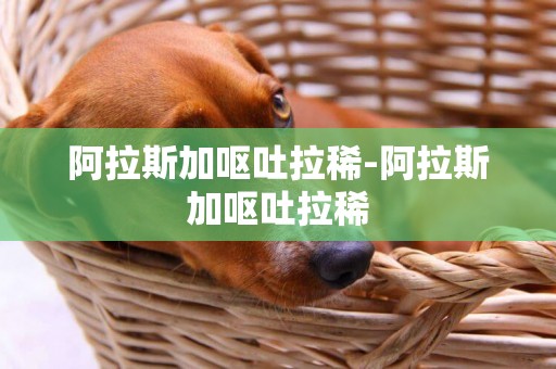阿拉斯加嘔吐拉稀-阿拉斯加嘔吐拉稀