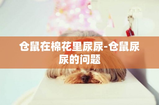 倉鼠在棉花里尿尿-倉鼠尿尿的問題