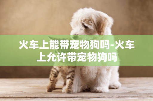 火車上能帶寵物狗嗎-火車上允許帶寵物狗嗎