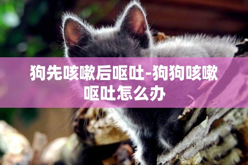 狗先咳嗽后嘔吐-狗狗咳嗽嘔吐怎么辦