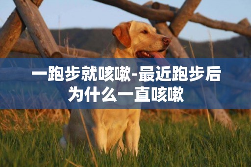 一跑步就咳嗽-最近跑步后為什么一直咳嗽