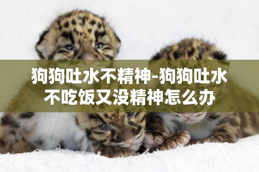 狗狗吐水不精神-狗狗吐水不吃飯又沒精神怎么辦
