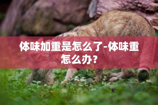 體味加重是怎么了-體味重怎么辦？