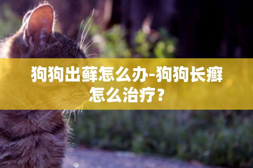 狗狗出蘚怎么辦-狗狗長癬怎么治療？
