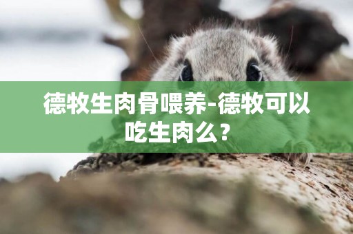 德牧生肉骨喂養-德牧可以吃生肉么？