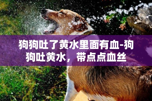 狗狗吐了黃水里面有血-狗狗吐黃水，帶點點血絲