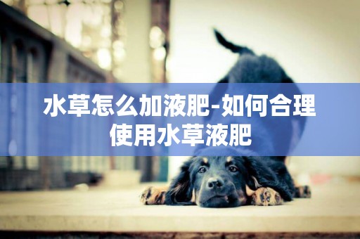 水草怎么加液肥-如何合理使用水草液肥