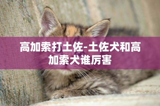 高加索打土佐-土佐犬和高加索犬誰厲害
