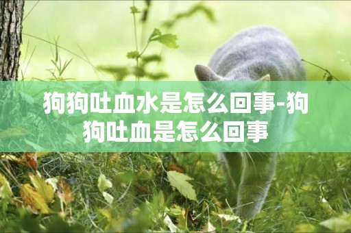 狗狗吐血水是怎么回事-狗狗吐血是怎么回事