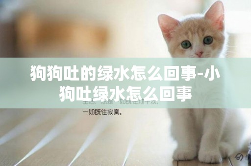 狗狗吐的綠水怎么回事-小狗吐綠水怎么回事