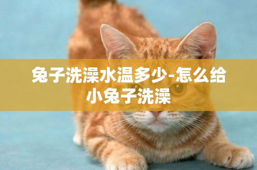兔子洗澡水溫多少-怎么給小兔子洗澡