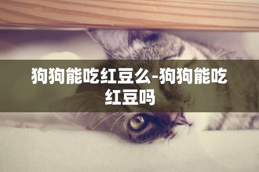 狗狗能吃紅豆么-狗狗能吃紅豆嗎