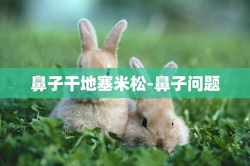 鼻子干地塞米松-鼻子問題
