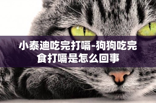 小泰迪吃完打嗝-狗狗吃完食打嗝是怎么回事