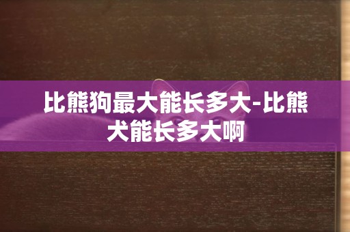 比熊狗最大能長多大-比熊犬能長多大啊