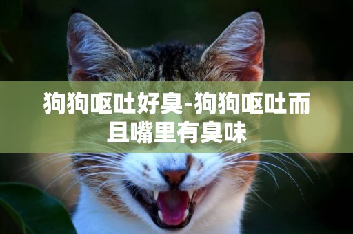 狗狗嘔吐好臭-狗狗嘔吐而且嘴里有臭味