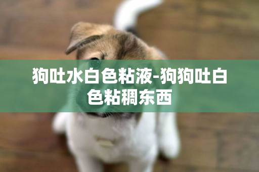 狗吐水白色粘液-狗狗吐白色粘稠東西