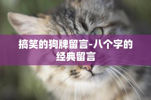 搞笑的狗牌留言-八個字的經典留言