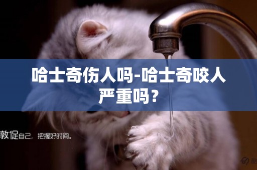 哈士奇傷人嗎-哈士奇咬人嚴重嗎？
