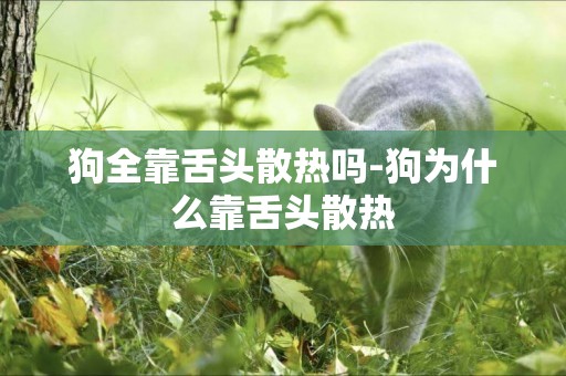 狗全靠舌頭散熱嗎-狗為什么靠舌頭散熱
