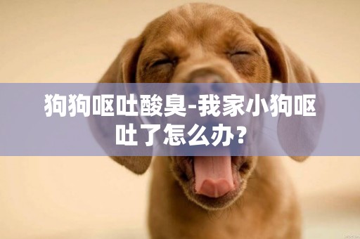 狗狗嘔吐酸臭-我家小狗嘔吐了怎么辦？