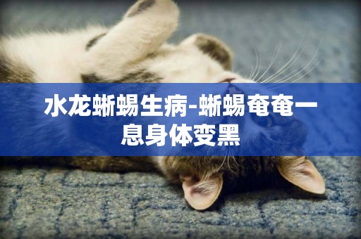 水龍蜥蜴生病-蜥蜴奄奄一息身體變黑