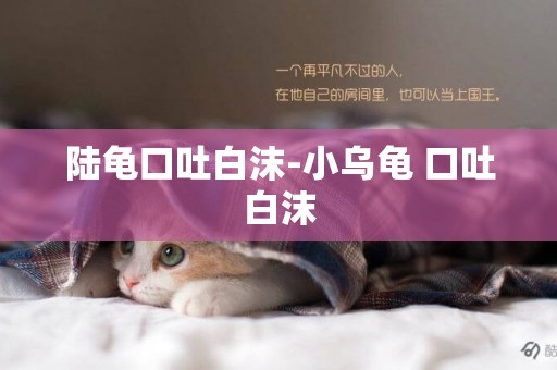 陸龜口吐白沫-小烏龜 口吐白沫
