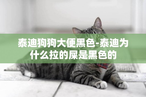泰迪狗狗大便黑色-泰迪為什么拉的屎是黑色的