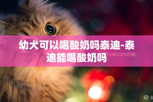 幼犬可以喝酸奶嗎泰迪-泰迪能喝酸奶嗎