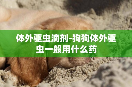 體外驅蟲滴劑-狗狗體外驅蟲一般用什么藥