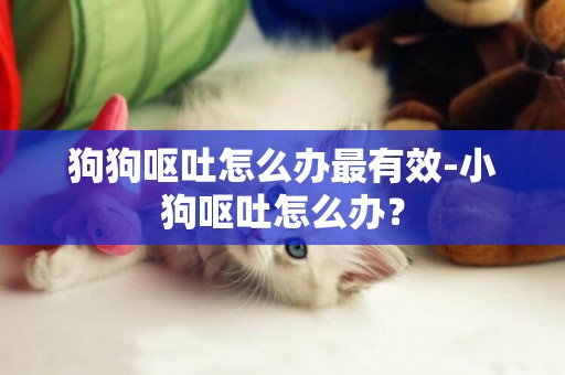 狗狗嘔吐怎么辦最有效-小狗嘔吐怎么辦？