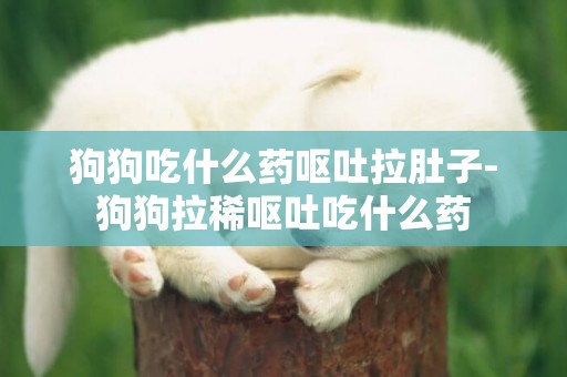 狗狗吃什么藥嘔吐拉肚子-狗狗拉稀嘔吐吃什么藥