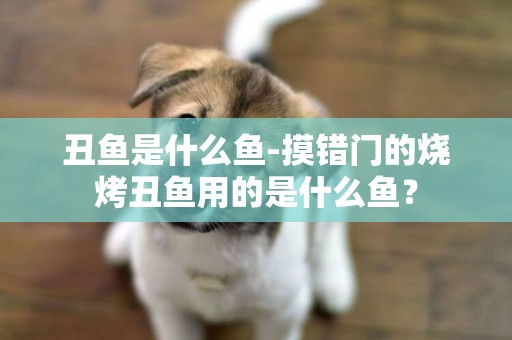 丑魚是什么魚-摸錯門的燒烤丑魚用的是什么魚？