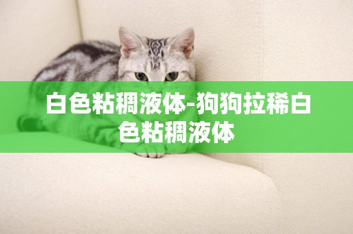 白色粘稠液體-狗狗拉稀白色粘稠液體