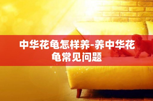 中華花龜怎樣養-養中華花龜常見問題