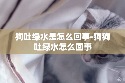 狗吐綠水是怎么回事-狗狗吐綠水怎么回事
