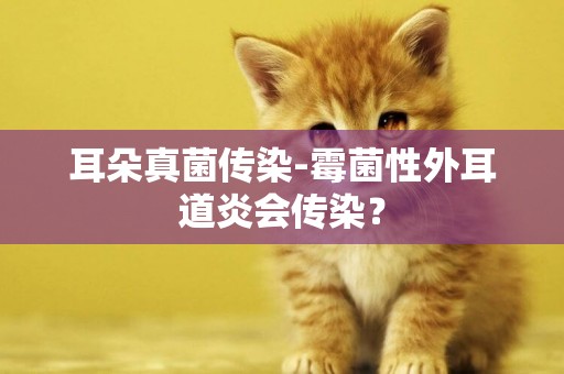 耳朵真菌傳染-霉菌性外耳道炎會傳染？