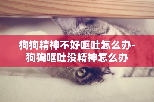 狗狗精神不好嘔吐怎么辦-狗狗嘔吐沒精神怎么辦