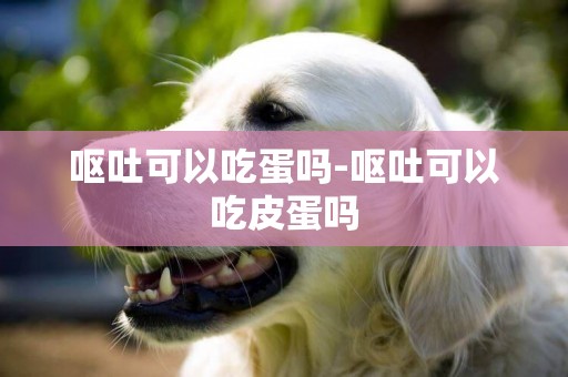 嘔吐可以吃蛋嗎-嘔吐可以吃皮蛋嗎