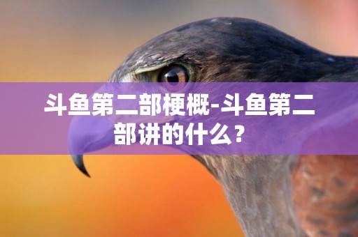 斗魚第二部梗概-斗魚第二部講的什么？