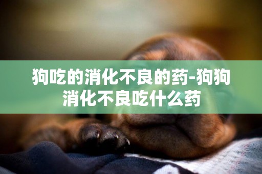 狗吃的消化不良的藥-狗狗消化不良吃什么藥