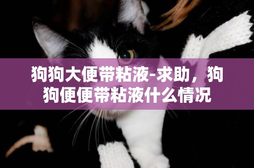 狗狗大便帶粘液-求助，狗狗便便帶粘液什么情況