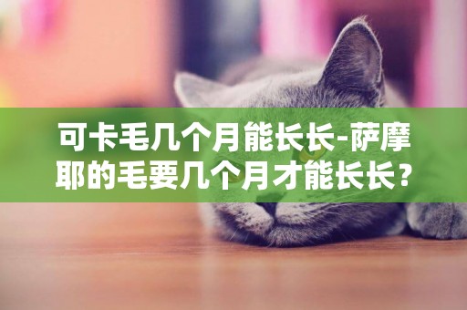 可卡毛幾個月能長長-薩摩耶的毛要幾個月才能長長？