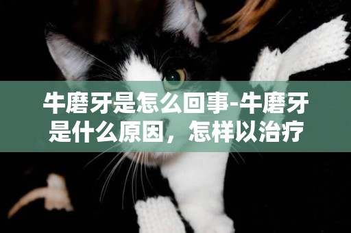 牛磨牙是怎么回事-牛磨牙是什么原因，怎樣以治療