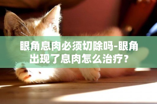 眼角息肉必須切除嗎-眼角出現了息肉怎么治療？