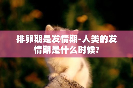 排卵期是發情期-人類的發情期是什么時候?