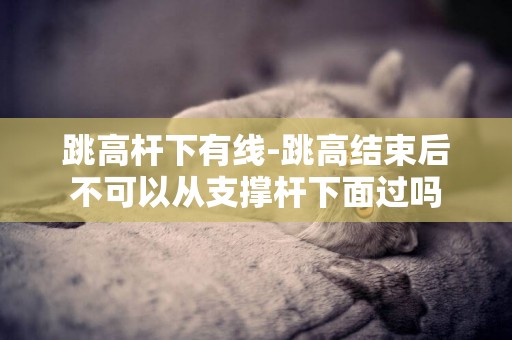 跳高桿下有線-跳高結束后不可以從支撐桿下面過嗎