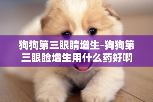 狗狗第三眼睛增生-狗狗第三眼瞼增生用什么藥好啊